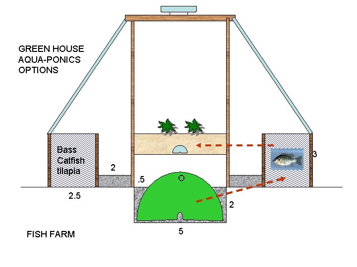 GREEN HOUSE AQUA-PONICS OPTIONS Bass Catfish tilapia 3 2. 5 FISH FARM 2 5