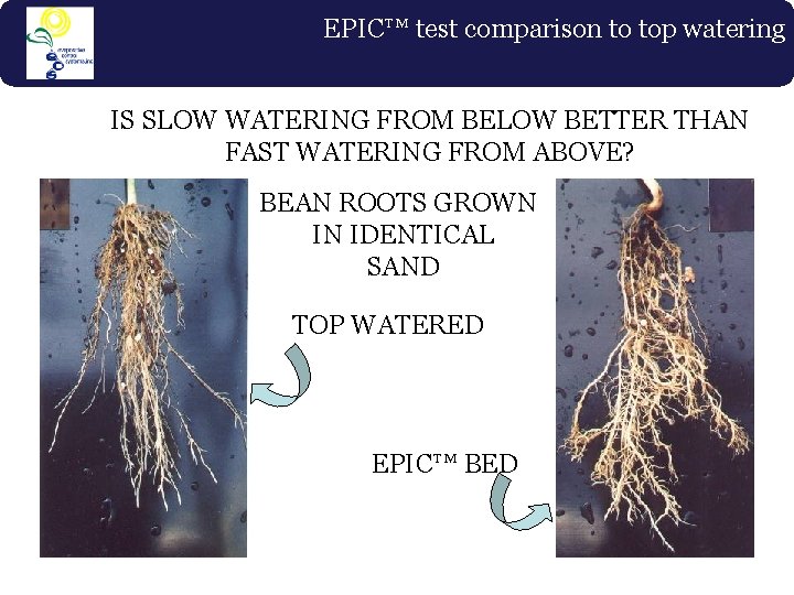 EPIC™ test comparison to top watering IS SLOW WATERING FROM BELOW BETTER THAN FAST