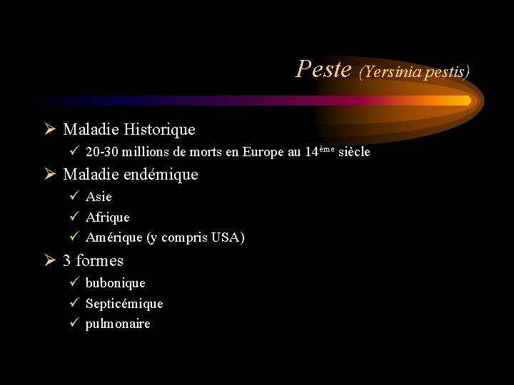 Peste (Yersinia pestis) Ø Maladie Historique ü 20 -30 millions de morts en Europe