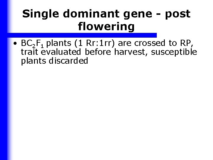 Single dominant gene - post flowering • BC 2 F 1 plants (1 Rr: