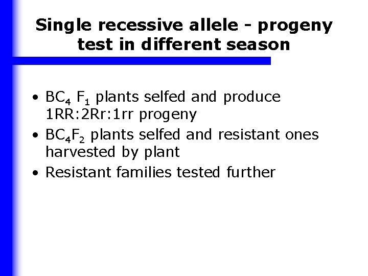 Single recessive allele - progeny test in different season • BC 4 F 1