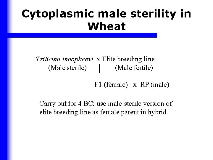 Cytoplasmic male sterility in Wheat Triticum timopheevi x Elite breeding line (Male sterile) (Male