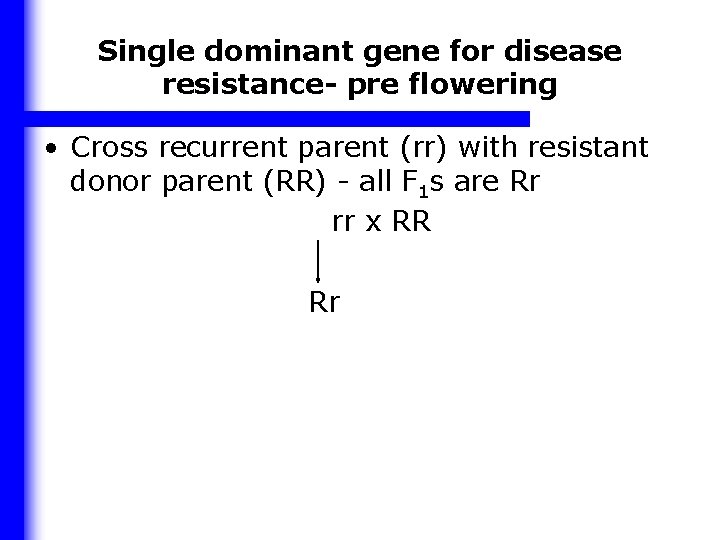 Single dominant gene for disease resistance- pre flowering • Cross recurrent parent (rr) with