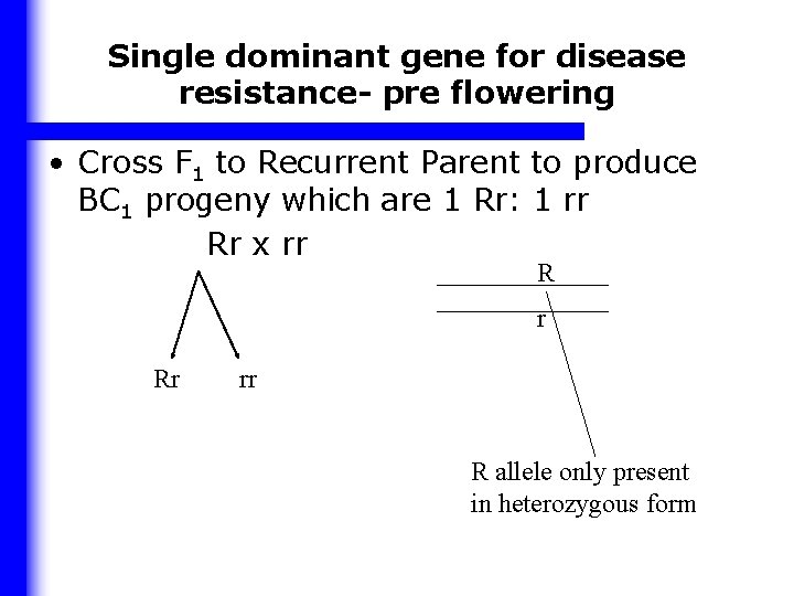 Single dominant gene for disease resistance- pre flowering • Cross F 1 to Recurrent