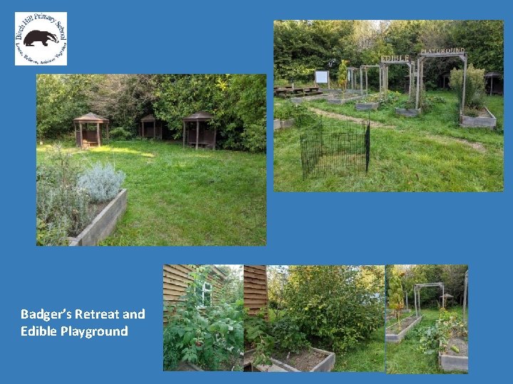 Badger’s Retreat and Edible Playground 
