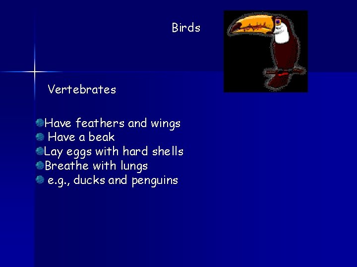 Birds Vertebrates Have feathers and wings Have a beak Lay eggs with hard shells