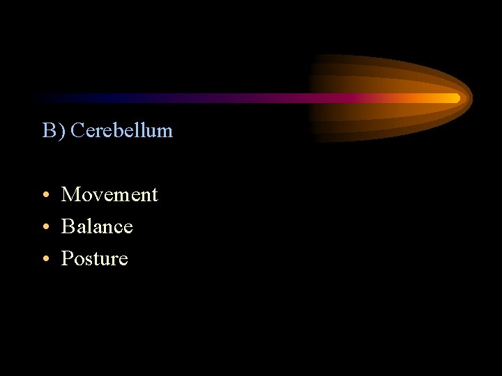B) Cerebellum • Movement • Balance • Posture 