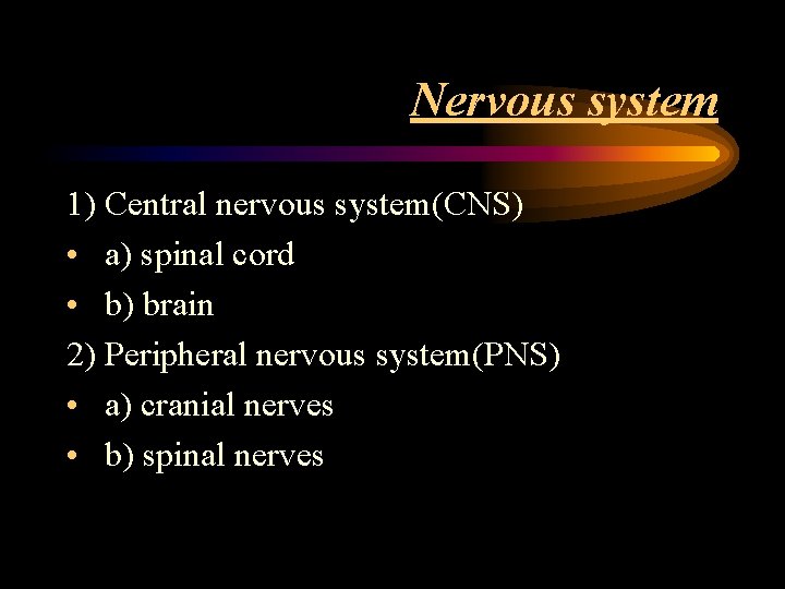 Nervous system 1) Central nervous system(CNS) • a) spinal cord • b) brain 2)