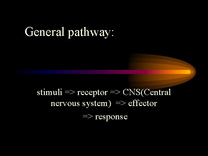 General pathway: stimuli => receptor => CNS(Central nervous system) => effector => response 