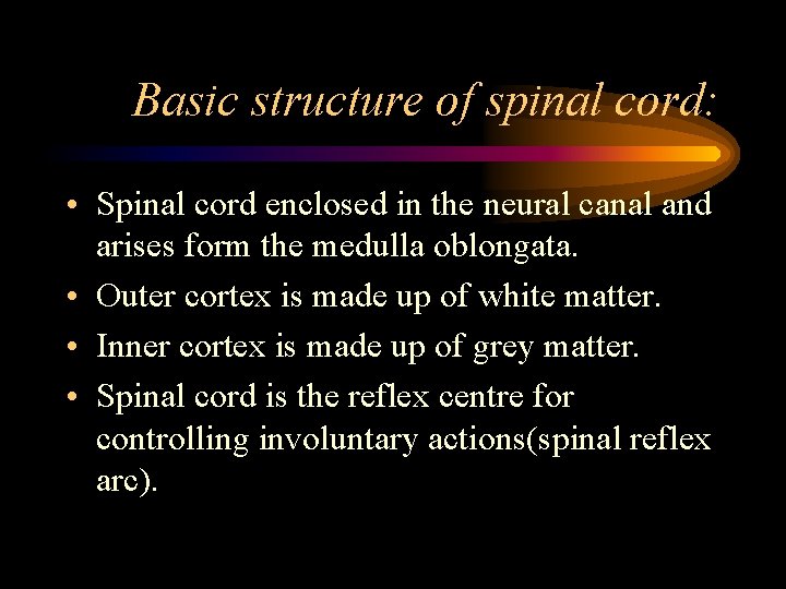 Basic structure of spinal cord: • Spinal cord enclosed in the neural canal and