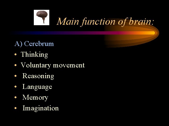 Main function of brain: A) Cerebrum • Thinking • Voluntary movement • Reasoning •