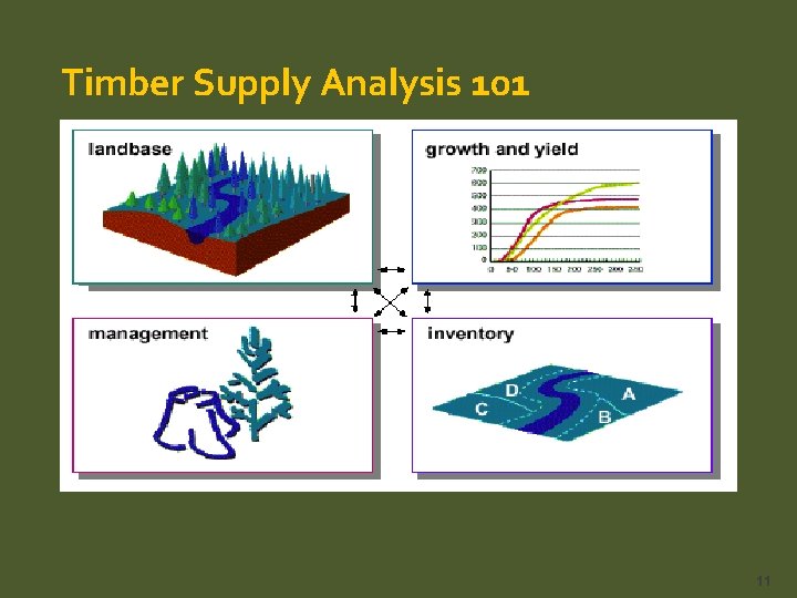 Timber Supply Analysis 101 11 