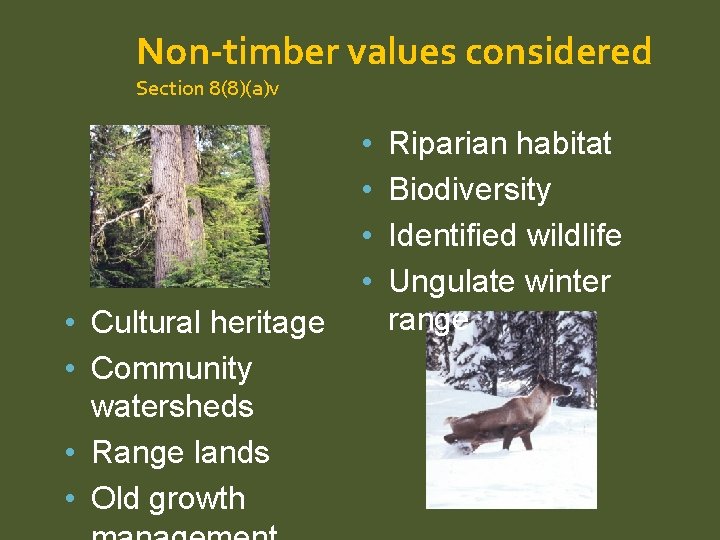 Non-timber values considered Section 8(8)(a)v • • • Cultural heritage • Community watersheds •