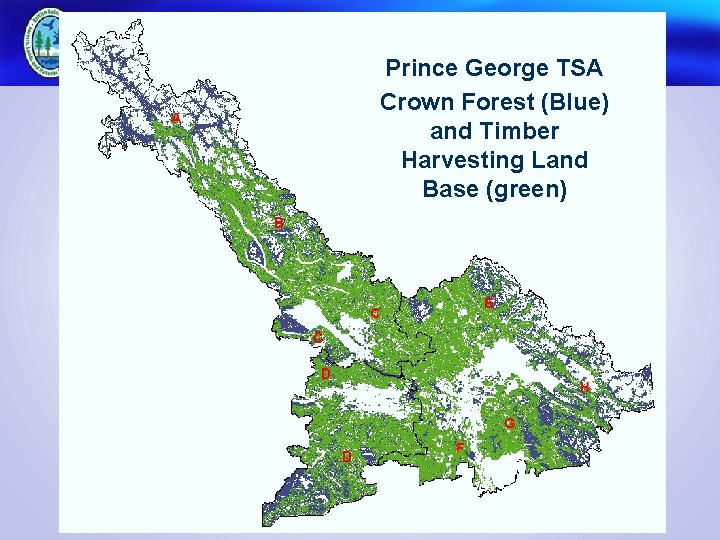 Prince George TSA Crown Forest (Blue) and Timber Harvesting Land Base (green) 