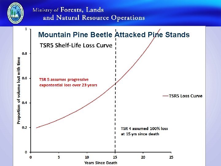 Mountain Pine Beetle Attacked Pine Stands 