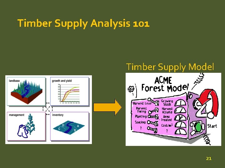 Timber Supply Analysis 101 Timber Supply Model 21 