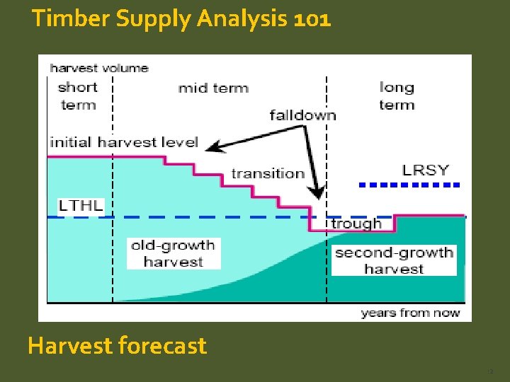 Timber Supply Analysis 101 Harvest forecast 22 