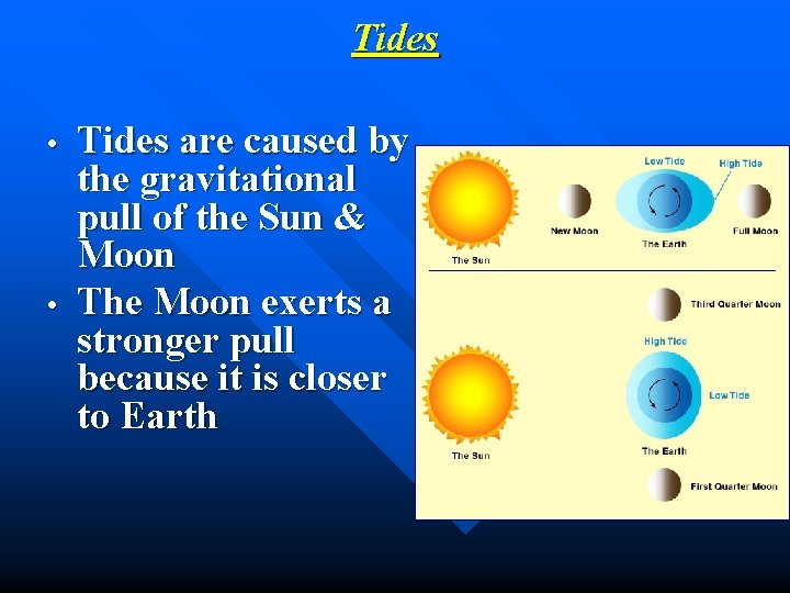 Tides • • Tides are caused by the gravitational pull of the Sun &