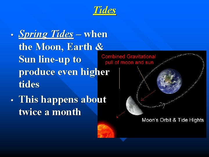 Tides • • Spring Tides – when the Moon, Earth & Sun line-up to