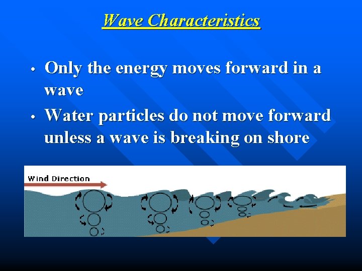 Wave Characteristics • • Only the energy moves forward in a wave Water particles