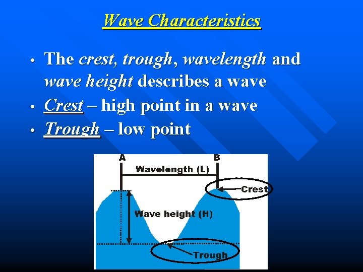 Wave Characteristics • • • The crest, trough, wavelength and wave height describes a