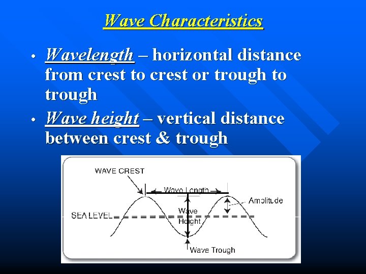 Wave Characteristics • • Wavelength – horizontal distance from crest to crest or trough