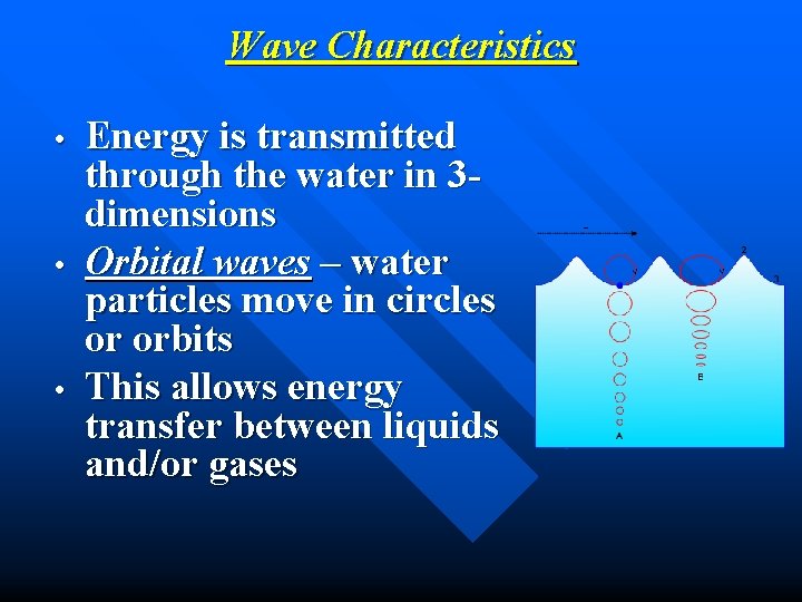 Wave Characteristics • • • Energy is transmitted through the water in 3 dimensions