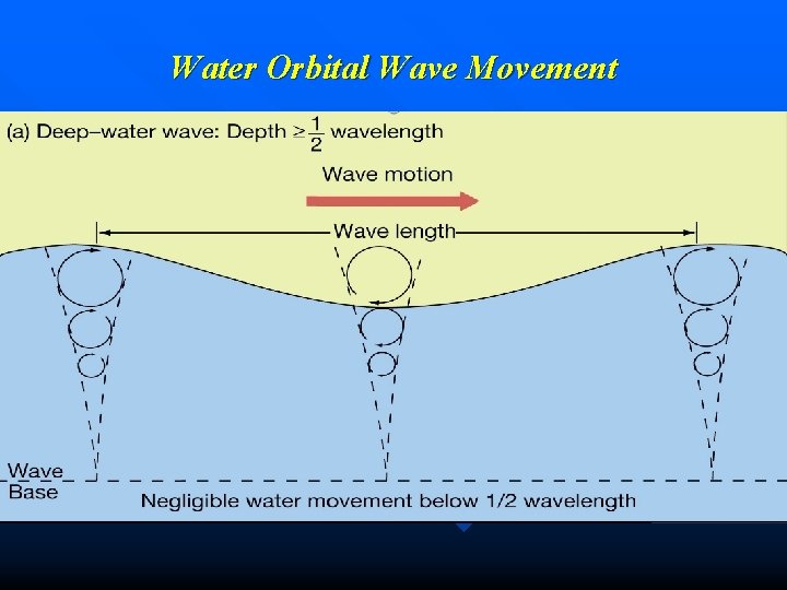 Water Orbital Wave Movement 