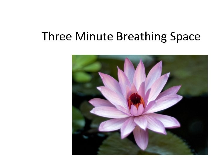 Three Minute Breathing Space 