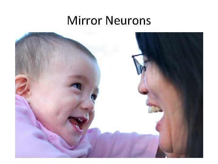 Mirror Neurons 