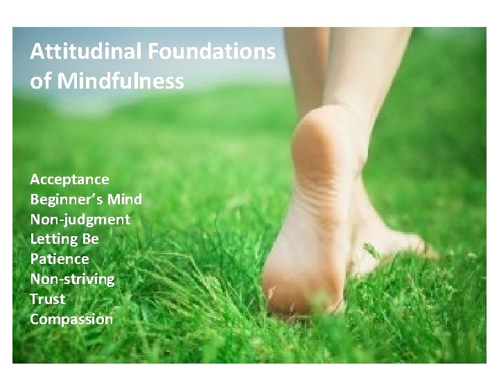 Attitudinal Foundations of Mindfulness Acceptance Beginner’s Mind Non-judgment Letting Be Patience Non-striving Trust Compassion