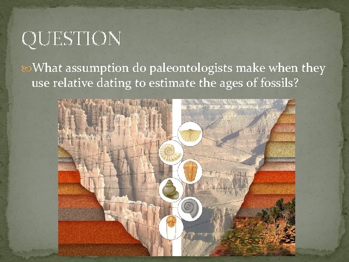 QUESTION What assumption do paleontologists make when they use relative dating to estimate the