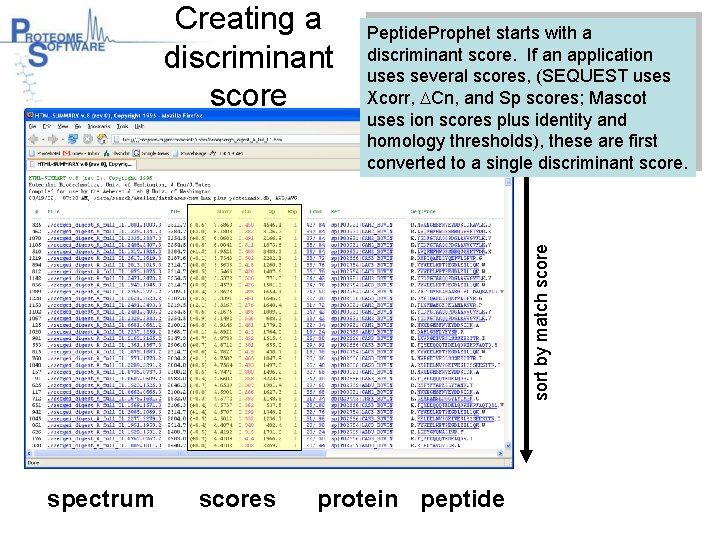 Peptide. Prophet starts with a discriminant score. If an application uses several scores, (SEQUEST
