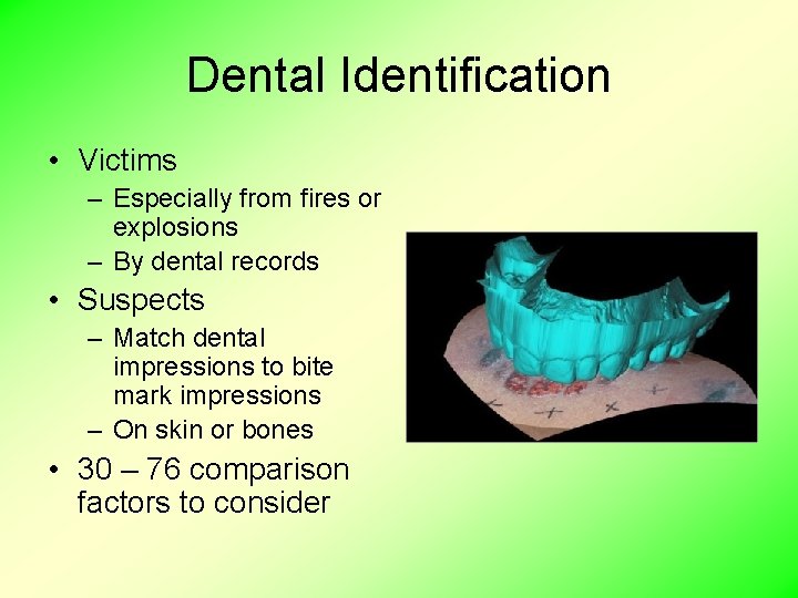 Dental Identification • Victims – Especially from fires or explosions – By dental records