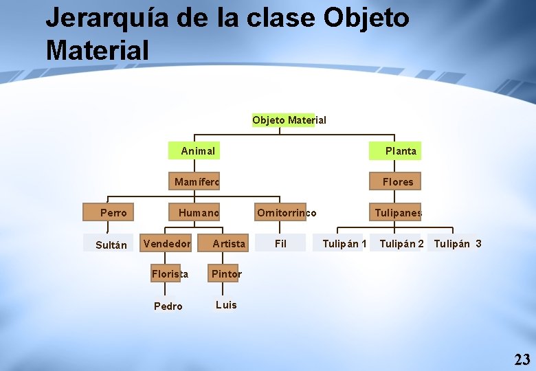 Jerarquía de la clase Objeto Material Perro Sultán Animal Planta Mamífero Flores Humano Vendedor