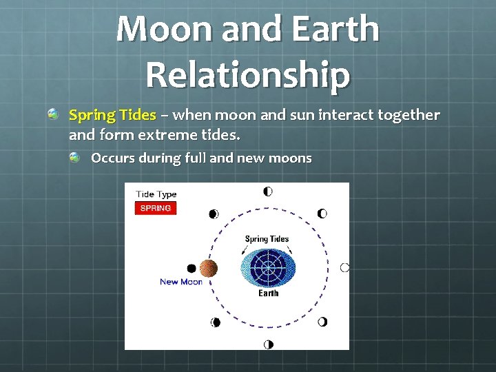Moon and Earth Relationship Spring Tides – when moon and sun interact together and