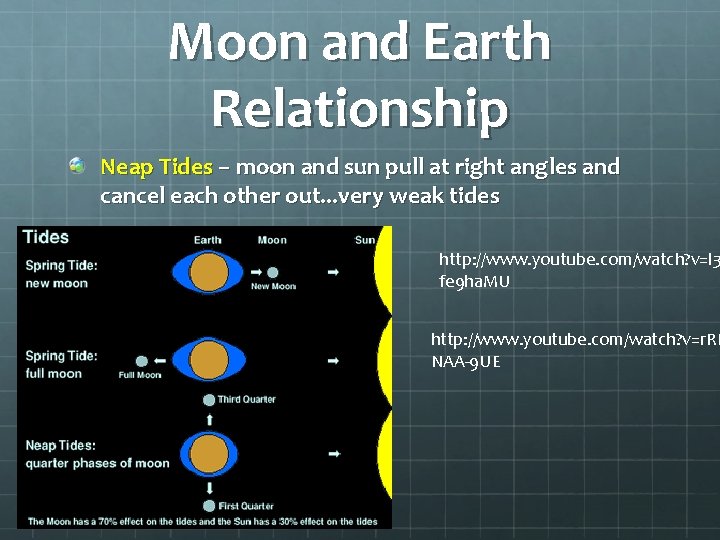 Moon and Earth Relationship Neap Tides – moon and sun pull at right angles