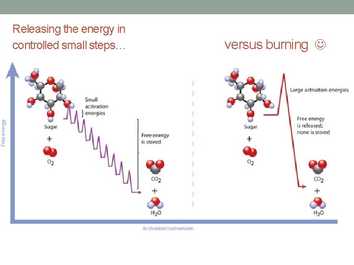 Releasing the energy in controlled small steps… versus burning 