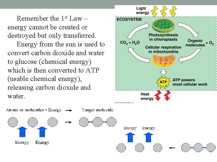 Remember the 1 st Law – energy cannot be created or destroyed but only