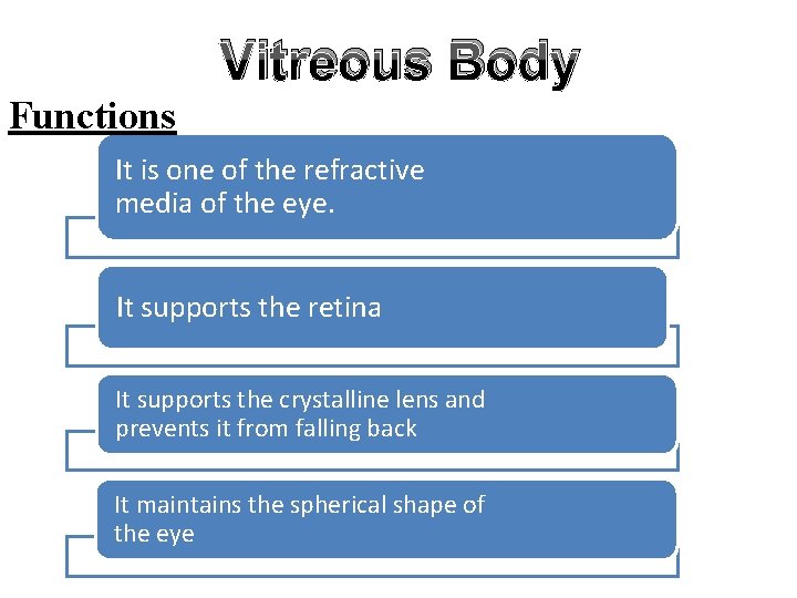 Vitreous Body Functions It is one of the refractive media of the eye. It