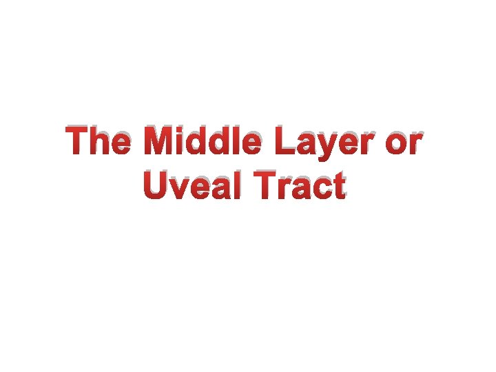 The Middle Layer or Uveal Tract 