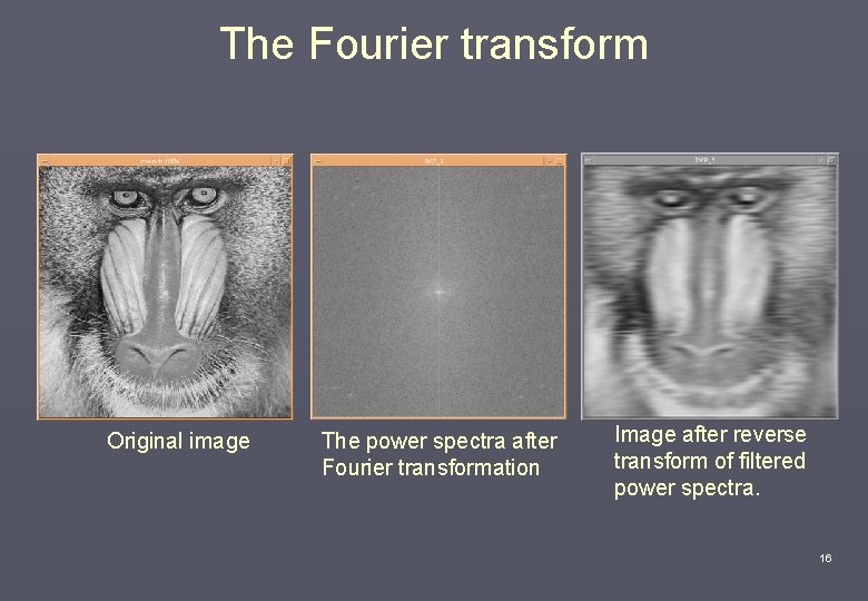The Fourier transform Original image The power spectra after Fourier transformation Image after reverse