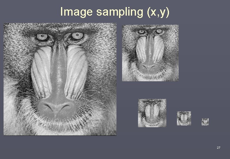 Image sampling (x, y) 27 