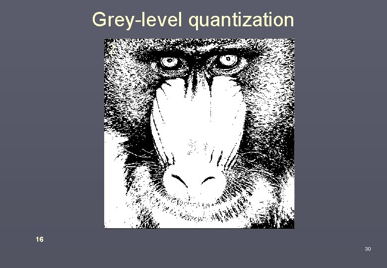 Grey-level quantization 256 32 8 2 16 30 