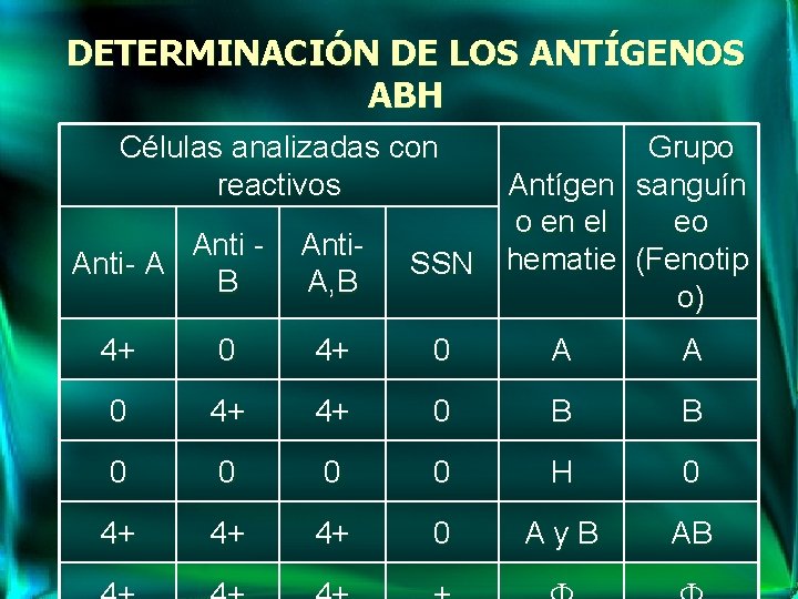 DETERMINACIÓN DE LOS ANTÍGENOS ABH Células analizadas con reactivos Anti- A B Anti. A,