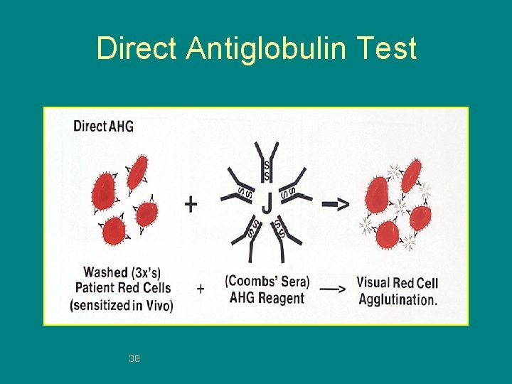 Direct Antiglobulin Test 38 