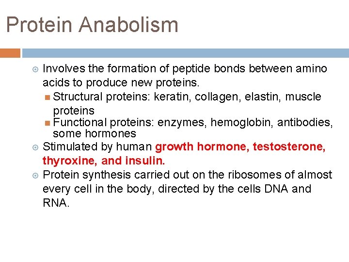 Protein Anabolism Involves the formation of peptide bonds between amino acids to produce new