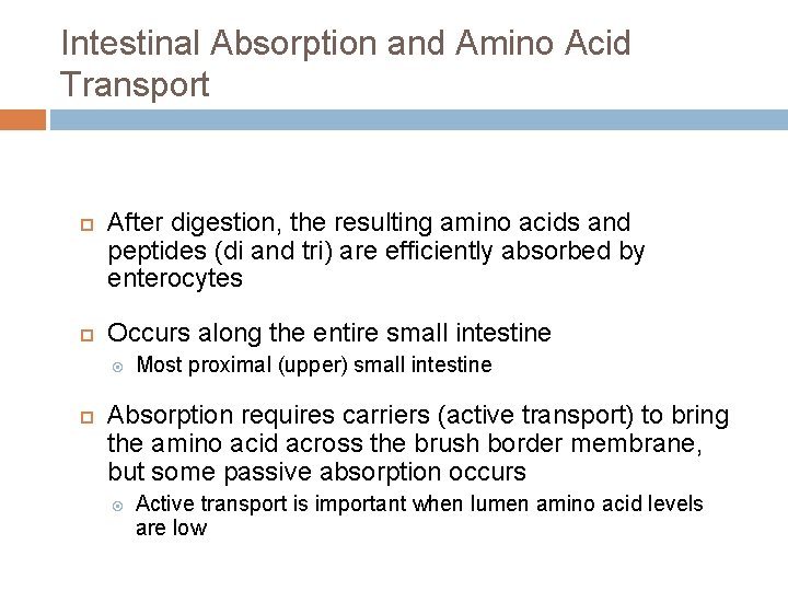 Intestinal Absorption and Amino Acid Transport After digestion, the resulting amino acids and peptides