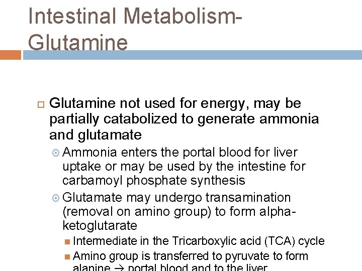 Intestinal Metabolism. Glutamine not used for energy, may be partially catabolized to generate ammonia