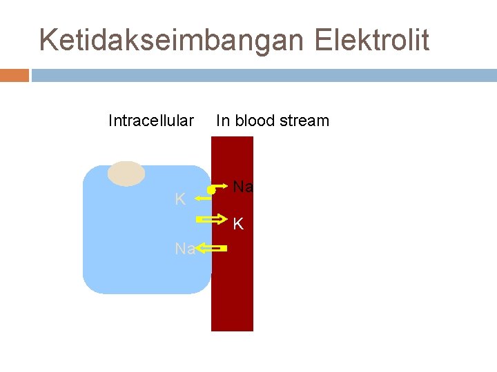 Ketidakseimbangan Elektrolit Intracellular K In blood stream Na K Na 